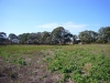 01-cape-may-site