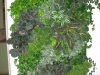 03-large-detail