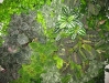 06-detail-3