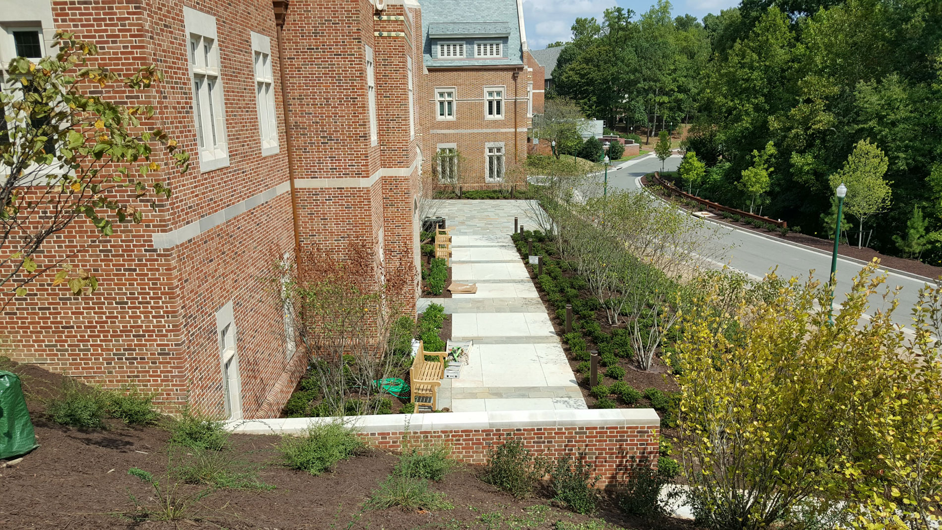 View from the top of the hillside garden showing the Amelanchier-lined walkway to the entry plaza.