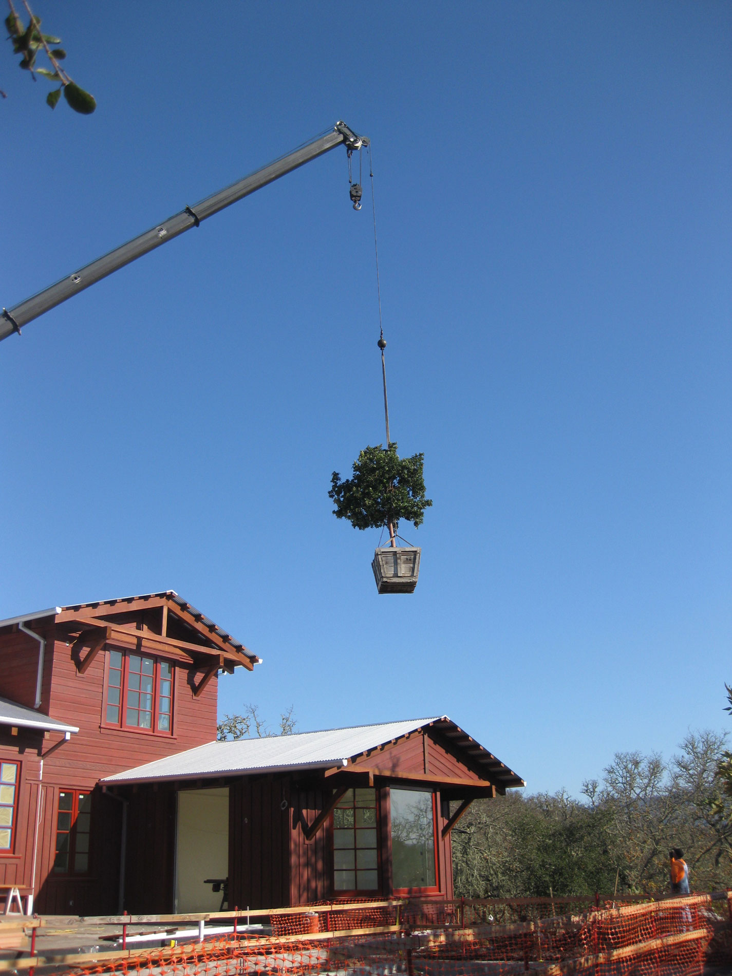 Because access to the site was limited once the new house was constructed, large trees had to be craned into the back gardens.