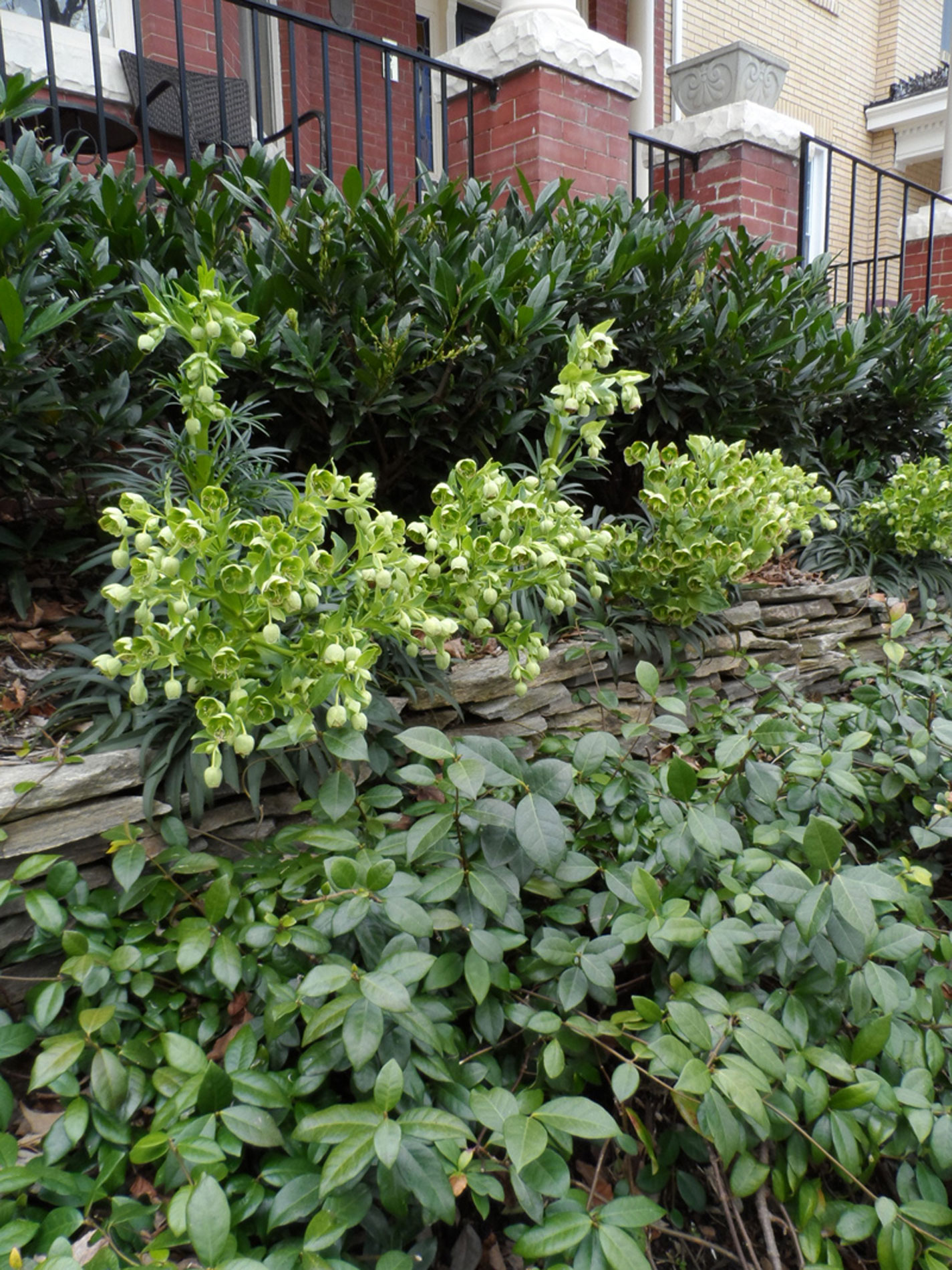 Fan Garden, Richmond, Virginia