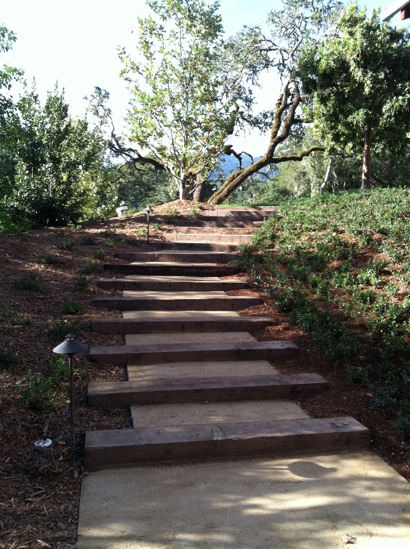 Stairs at the side of the house constructed with timbers and decomposed granite.