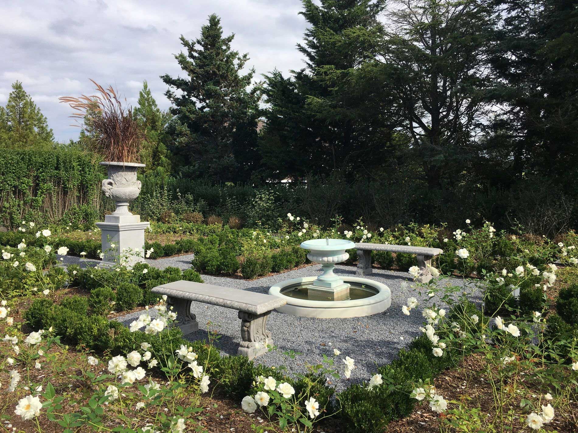 Another small fountain with two flanking benches is located at the center of the garden. The beds are delineated by low Boxwood hedges and filled with Iceberg Rose.