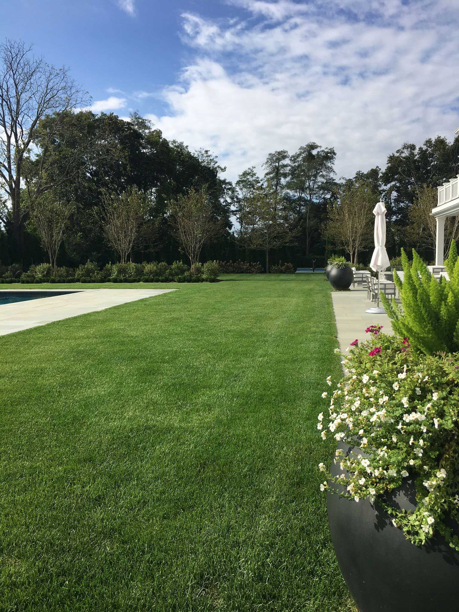 A lawn separates the back terrace of the house from the swimming pool. The edge of the Pool Terrace is defined by rows of Sarah’s Favorite Crapemyrtle underplanted with Summersweet and Boxwood hedges.