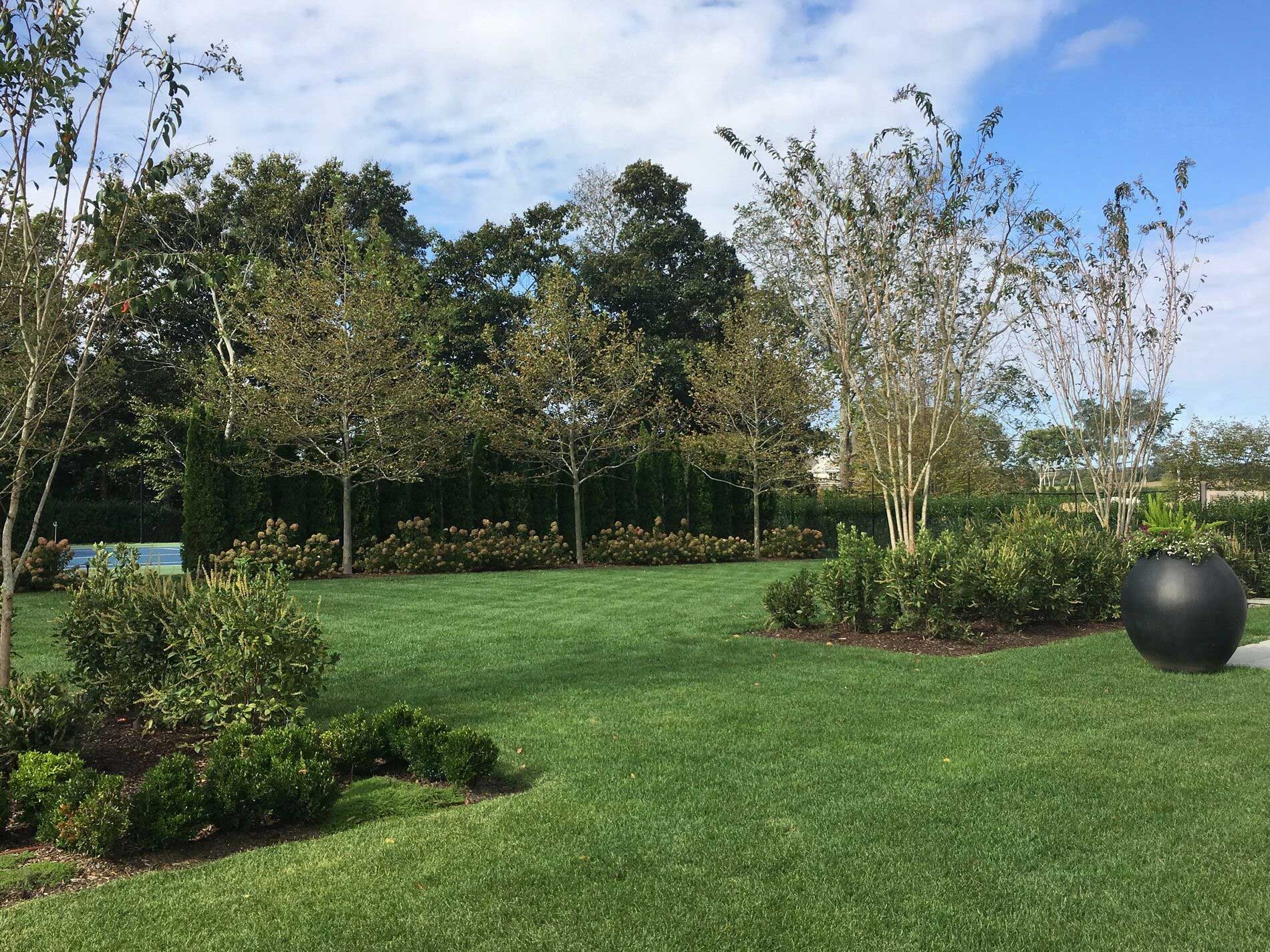 Passing through the row of Crapemyrtle leads to another lawn beyond which the tennis court is screened with a layered planting.